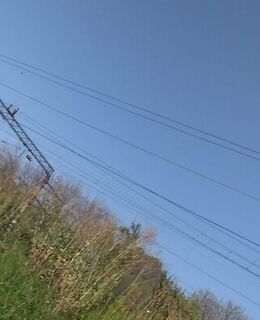 Степан Лимарев